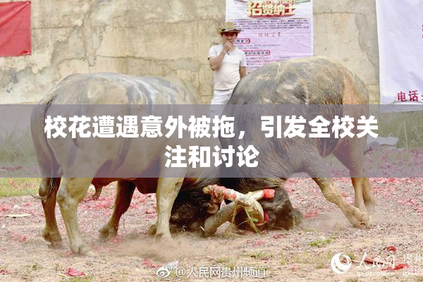 校花遭遇意外被拖，引发全校关注和讨论