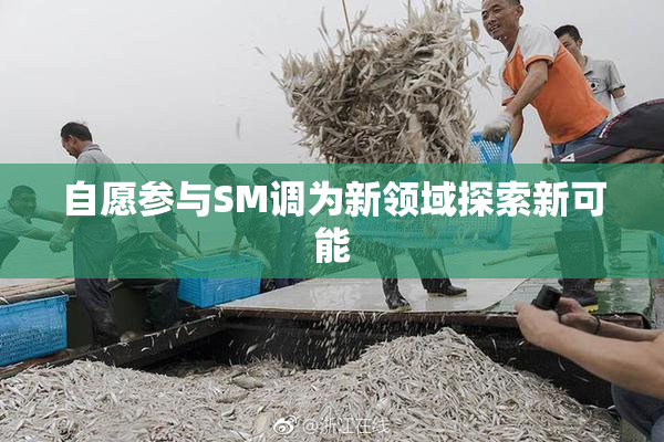 自愿参与SM调为新领域探索新可能