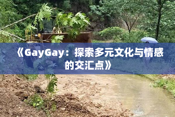 《GayGay：探索多元文化与情感的交汇点》