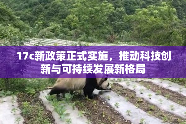 17c新政策正式实施，推动科技创新与可持续发展新格局