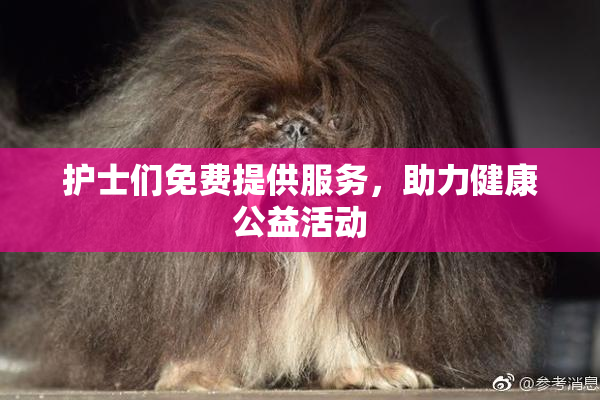 护士们免费提供服务，助力健康公益活动