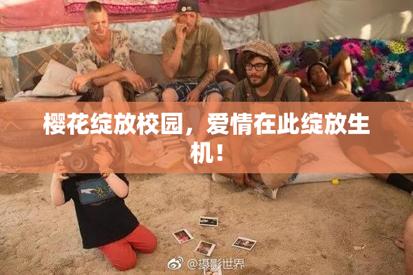 樱花绽放校园，爱情在此绽放生机！