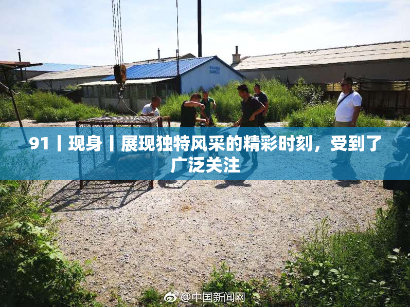 91丨现身丨展现独特风采的精彩时刻，受到了广泛关注
