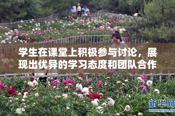 学生在课堂上积极参与讨论，展现出优异的学习态度和团队合作精神。