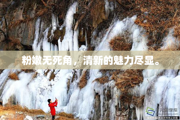粉嫩无死角，清新的魅力尽显。