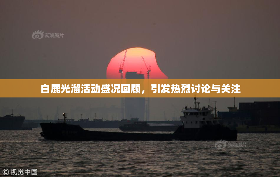 白鹿光溜活动盛况回顾，引发热烈讨论与关注