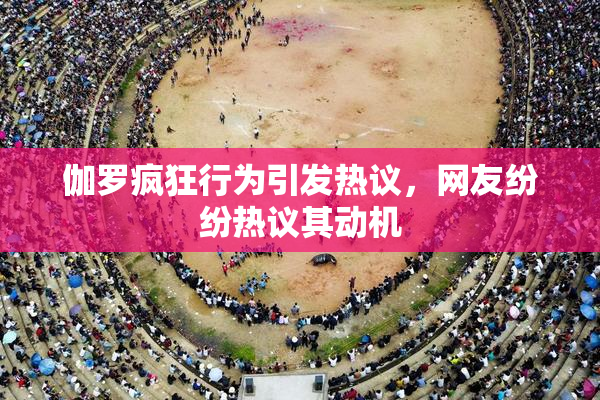 伽罗疯狂行为引发热议，网友纷纷热议其动机