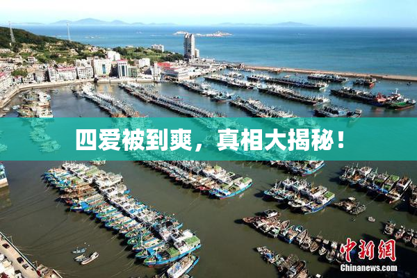 四爱被到爽，真相大揭秘！