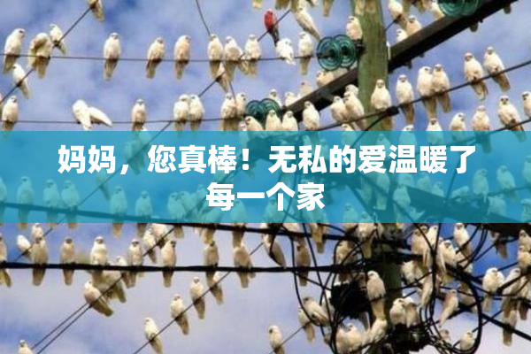 妈妈，您真棒！无私的爱温暖了每一个家