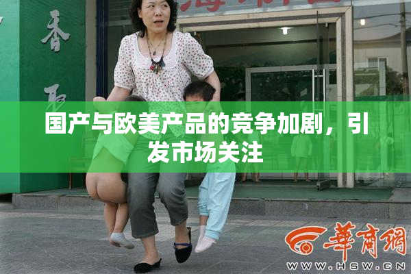 国产与欧美产品的竞争加剧，引发市场关注