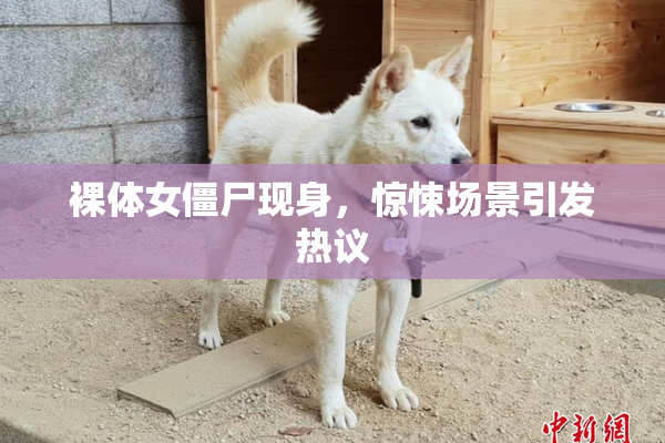 裸体女僵尸现身，惊悚场景引发热议