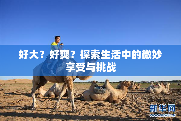 好大？好爽？探索生活中的微妙享受与挑战