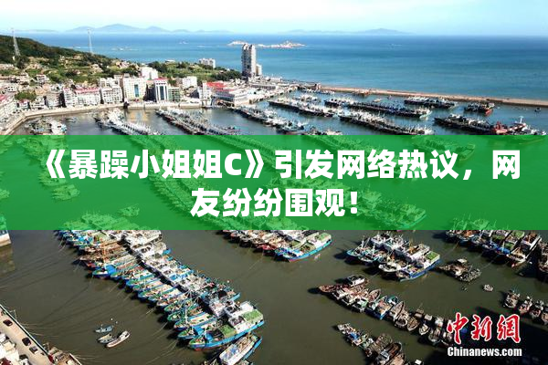 《暴躁小姐姐C》引发网络热议，网友纷纷围观！