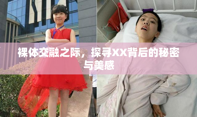 裸体交融之际，探寻XX背后的秘密与美感