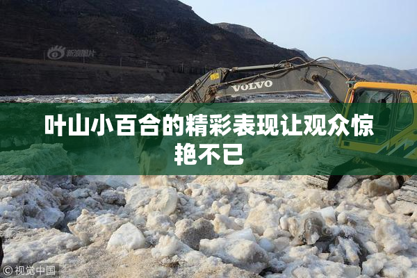 叶山小百合的精彩表现让观众惊艳不已