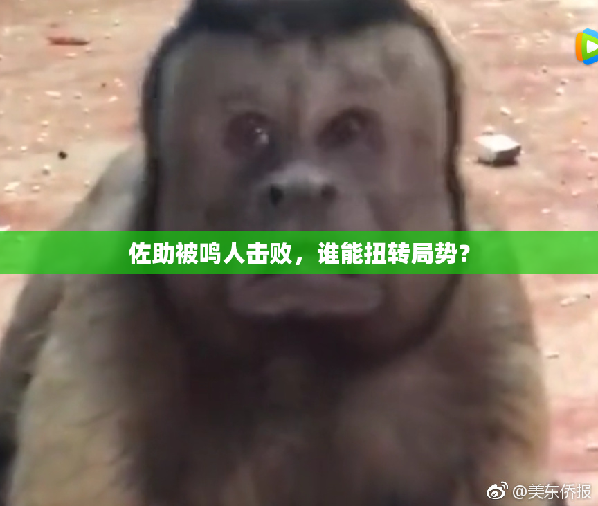 佐助被鸣人击败，谁能扭转局势？