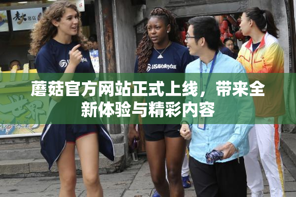蘑菇官方网站正式上线，带来全新体验与精彩内容