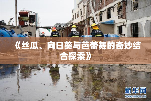 《丝瓜、向日葵与芭蕾舞的奇妙结合探索》