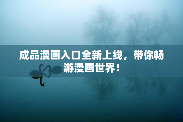 成品漫画入口全新上线，带你畅游漫画世界！
