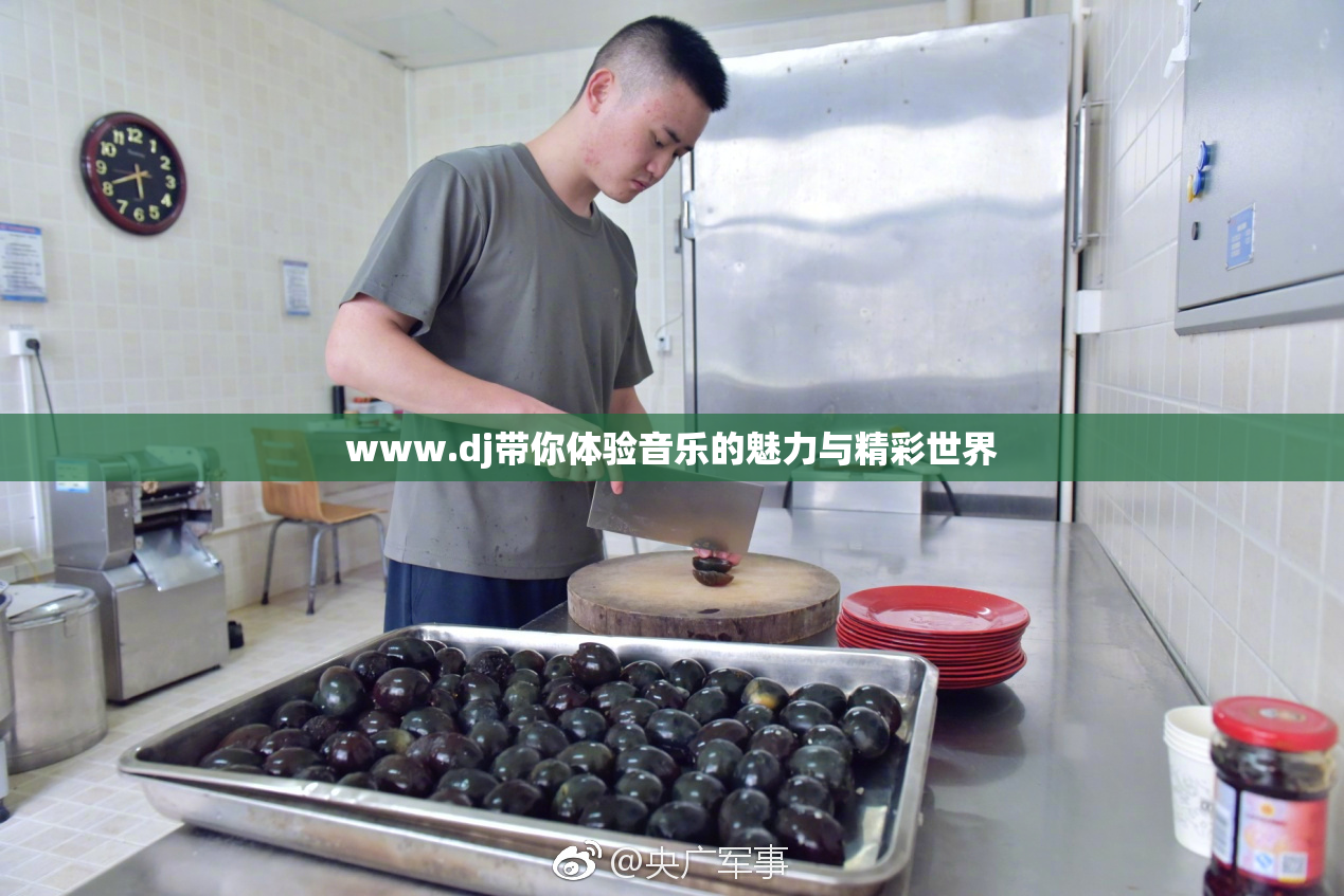 www.dj带你体验音乐的魅力与精彩世界