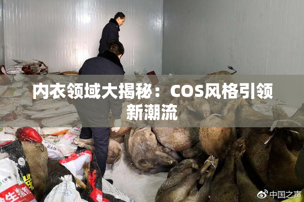内衣领域大揭秘：COS风格引领新潮流