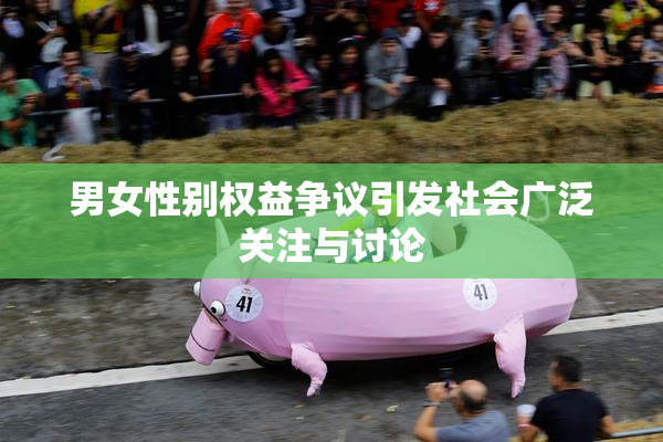 男女性别权益争议引发社会广泛关注与讨论