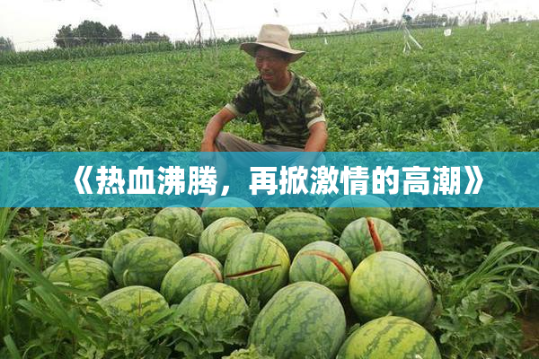 《热血沸腾，再掀激情的高潮》