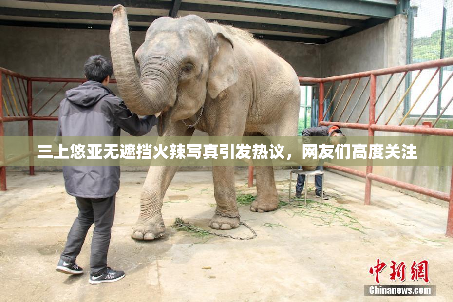 三上悠亚无遮挡火辣写真引发热议，网友们高度关注