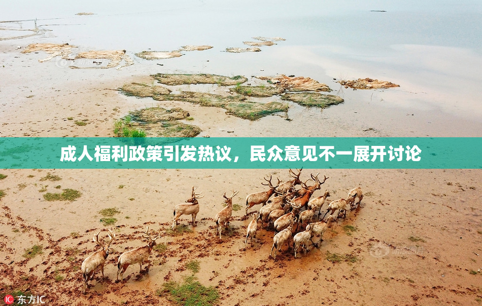 成人福利政策引发热议，民众意见不一展开讨论