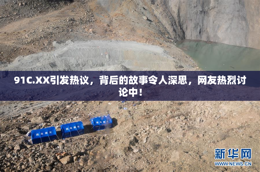 91C.XX引发热议，背后的故事令人深思，网友热烈讨论中！
