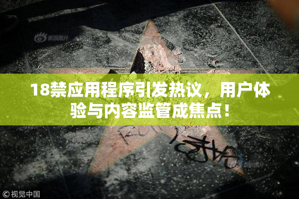 18禁应用程序引发热议，用户体验与内容监管成焦点！