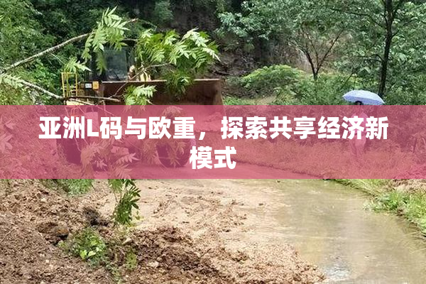 亚洲L码与欧重，探索共享经济新模式