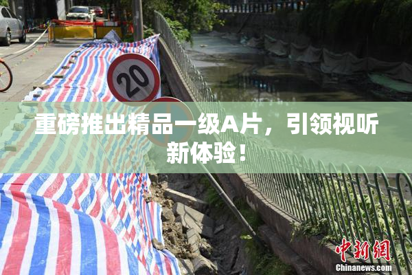 重磅推出精品一级A片，引领视听新体验！