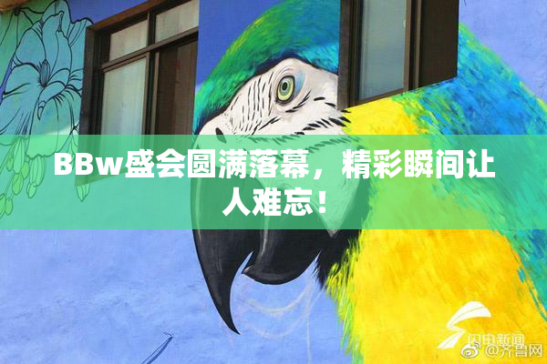 BBw盛会圆满落幕，精彩瞬间让人难忘！