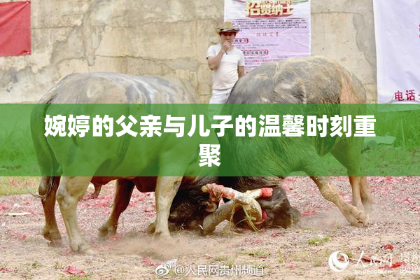 婉婷的父亲与儿子的温馨时刻重聚