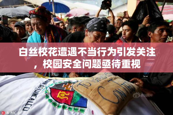 白丝校花遭遇不当行为引发关注，校园安全问题亟待重视