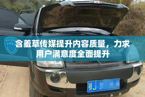 含羞草传媒提升内容质量，力求用户满意度全面提升
