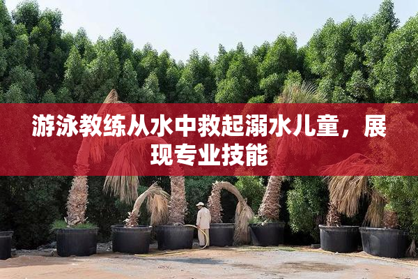 游泳教练从水中救起溺水儿童，展现专业技能