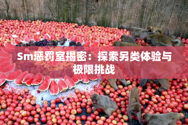 Sm惩罚室揭密：探索另类体验与极限挑战