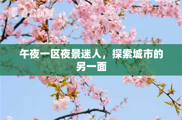 午夜一区夜景迷人，探索城市的另一面