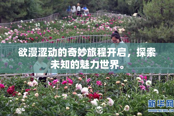 欲漫涩动的奇妙旅程开启，探索未知的魅力世界。