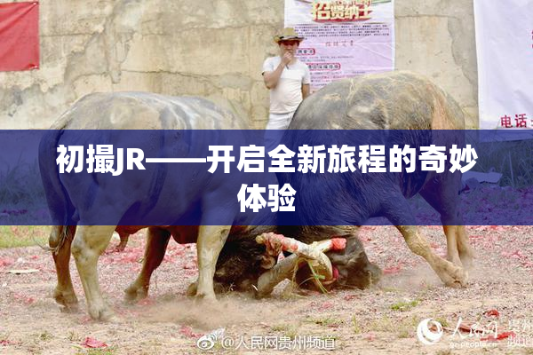 初撮JR——开启全新旅程的奇妙体验