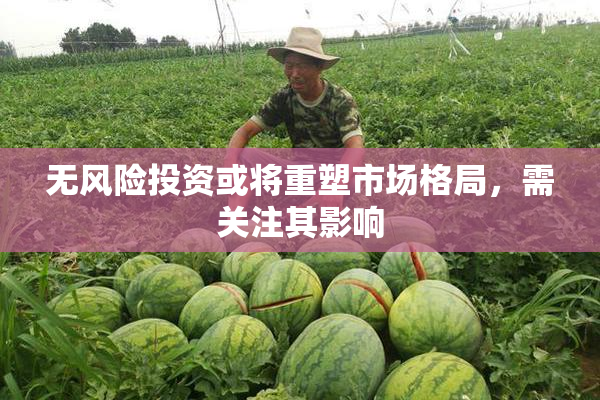 无风险投资或将重塑市场格局，需关注其影响