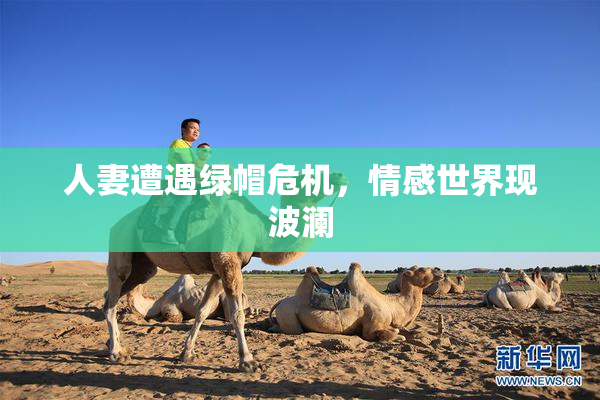 人妻遭遇绿帽危机，情感世界现波澜