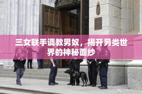 三女联手调教男奴，揭开另类世界的神秘面纱