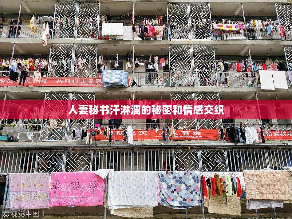 人妻秘书汗淋漓的秘密和情感交织