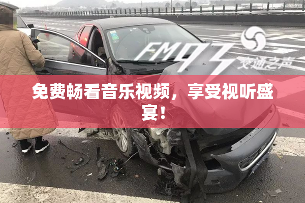 免费畅看音乐视频，享受视听盛宴！
