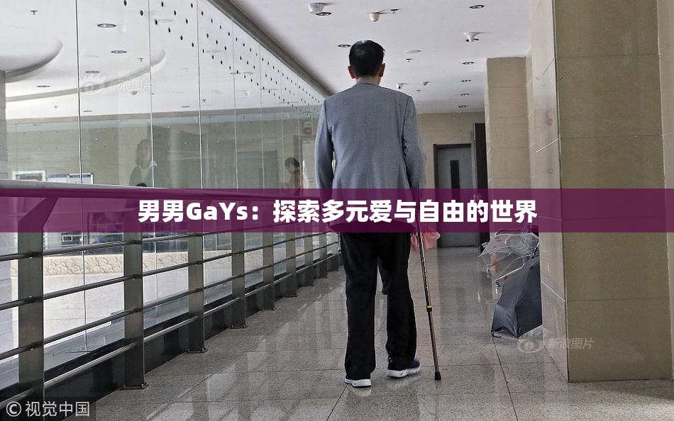 男男GaYs：探索多元爱与自由的世界