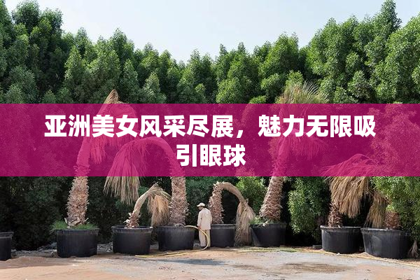 亚洲美女风采尽展，魅力无限吸引眼球