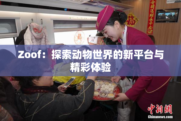 Zoof：探索动物世界的新平台与精彩体验